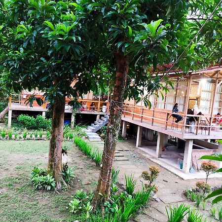 Bua Guesthouse Tangkahan Экстерьер фото