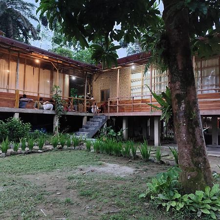Bua Guesthouse Tangkahan Экстерьер фото